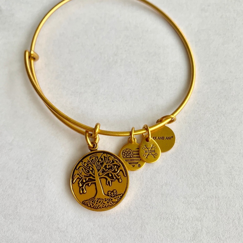 ALEX AND ANI bracelet